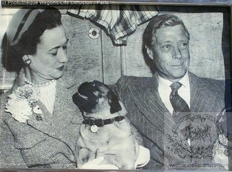 Wl duke and duchess of windsor with pug in the night ferry