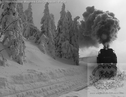 Wl train dans la neige 1